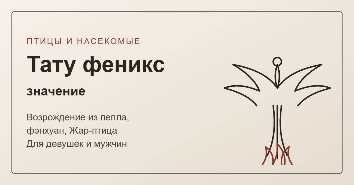 Тату феникс: значение — обложка с линейным эскизом птицы в пламени