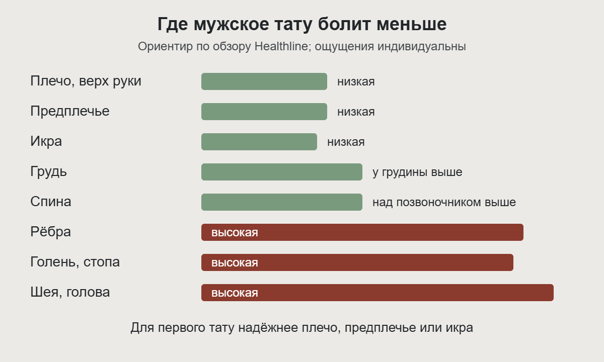 Диаграмма боли при тату у мужчин: плечо, предплечье и икра — низкая, рёбра, голень и шея — высокая