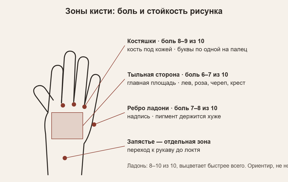Схема зон кисти для тату: тыльная сторона, костяшки, ребро ладони, ладонь — боль и стойкость рисунка
