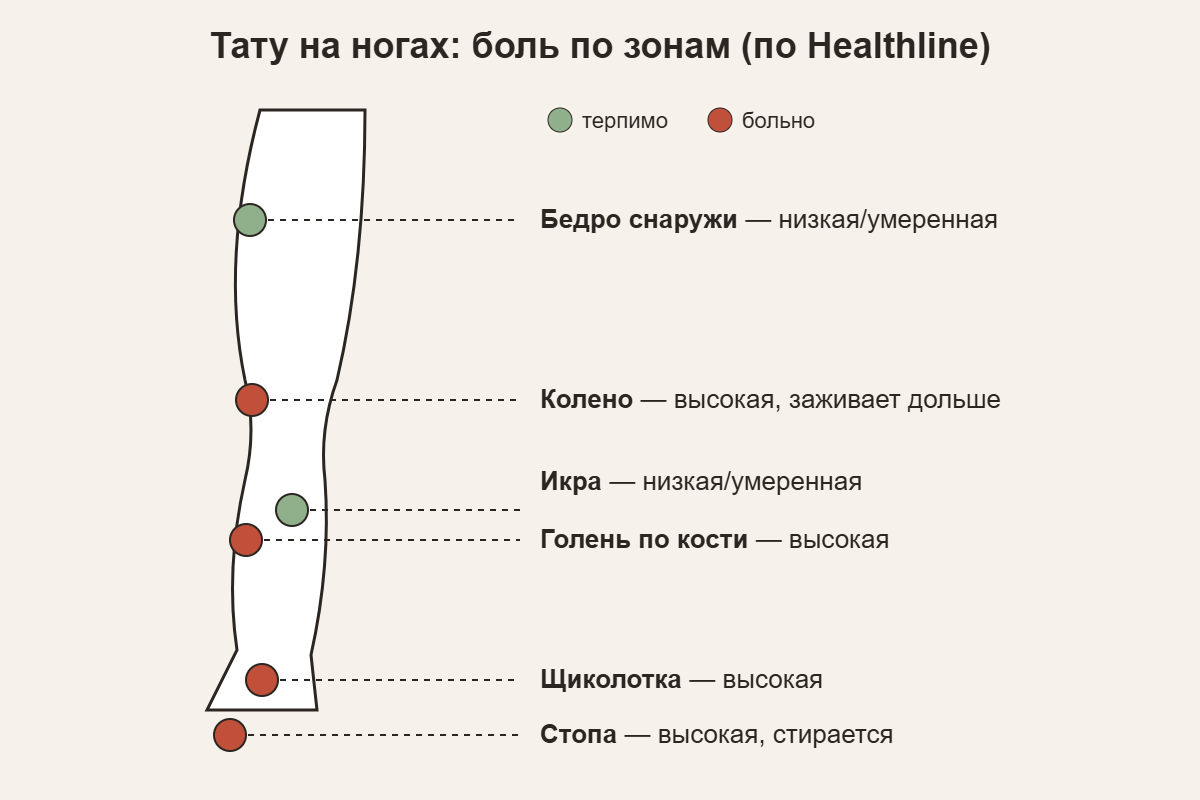 Схема ноги: боль при тату на бедре, колене, икре, голени, щиколотке и стопе по данным Healthline